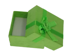 Ringbox rechteckig in 4 Farben